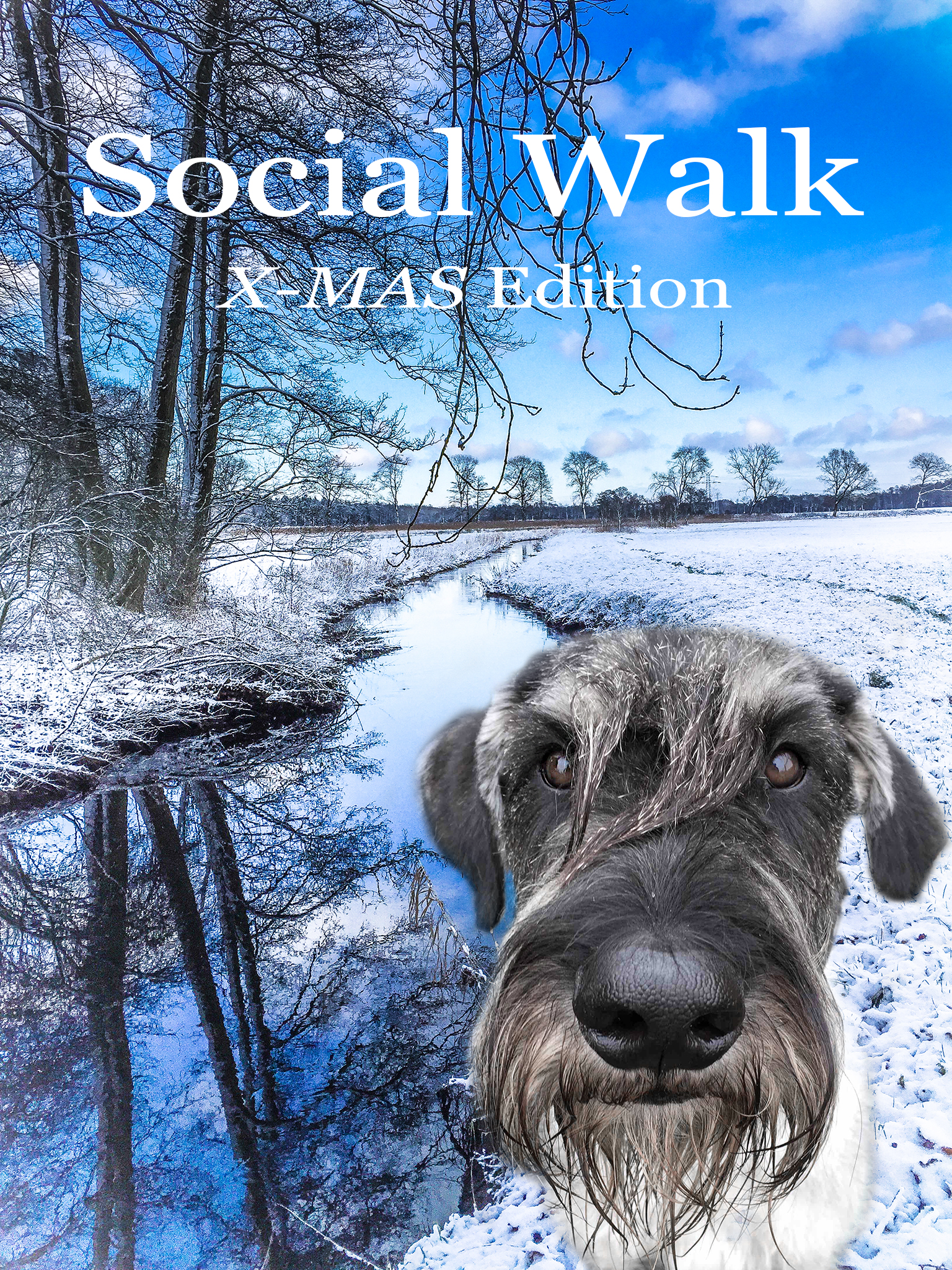 Social Walk X-MAS Edition